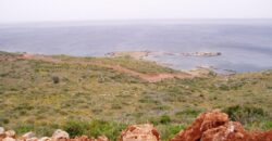 Land plot in Monemvasia, Agios Fokas