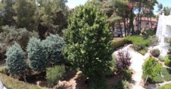 Μεζονέτα στην Άνοιξη Αττικής