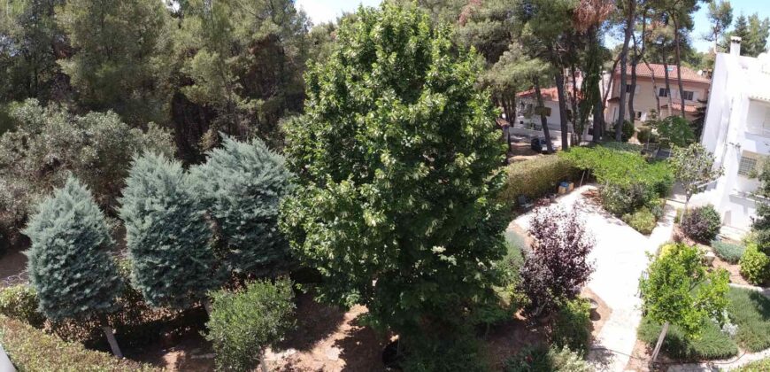 Μεζονέτα στην Άνοιξη Αττικής