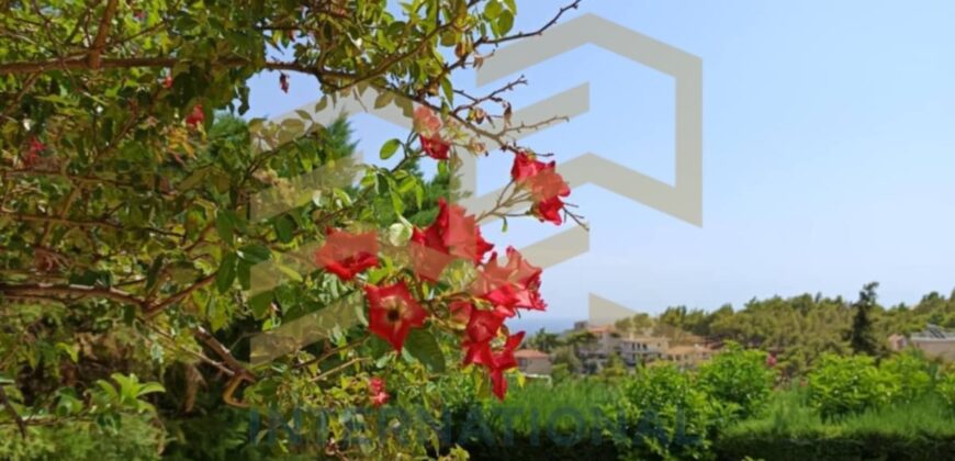 Καλλιτεχνούπολη Ραφήνα