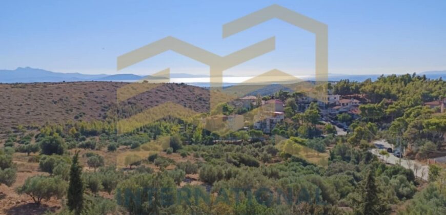 Καλλιτεχνούπολη Ραφήνα