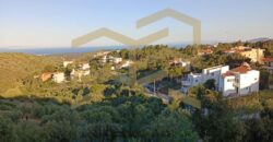Καλλιτεχνούπολη Ραφήνα