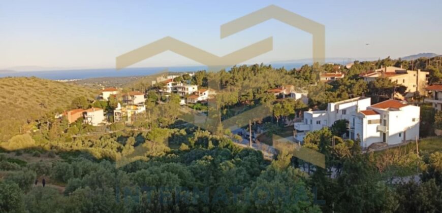 Καλλιτεχνούπολη Ραφήνα