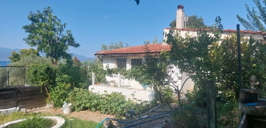 Detached house in Kamena Vourla