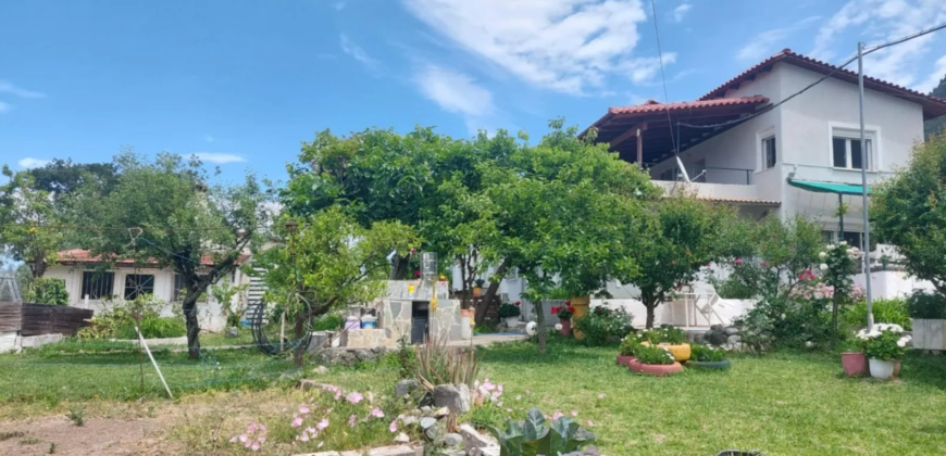 Detached house in Kamena Vourla