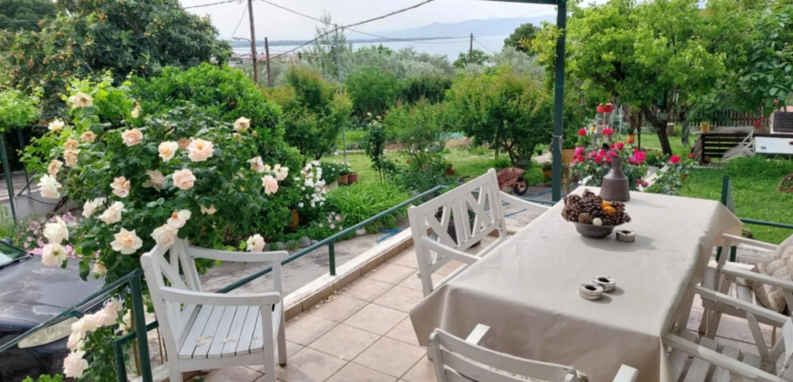 Detached house in Kamena Vourla