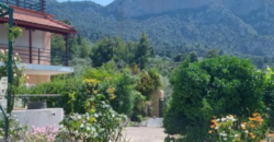Detached house in Kamena Vourla