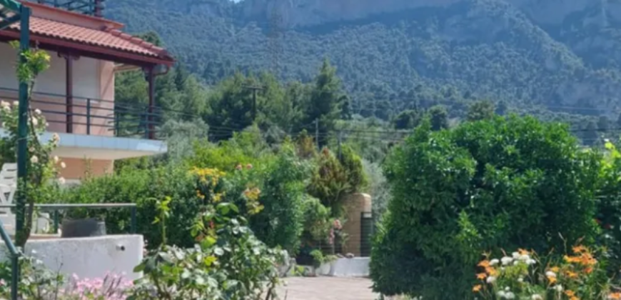 Detached house in Kamena Vourla