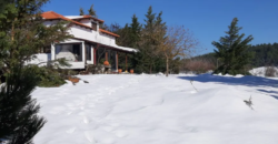 Farm in Skourta, Dervenochoria