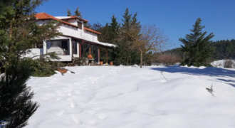 Farm in Skourta, Dervenochoria