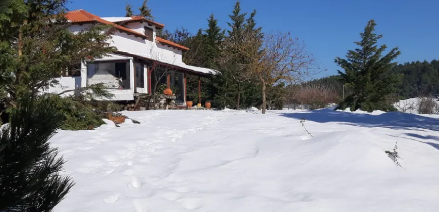 Farm in Skourta, Dervenochoria