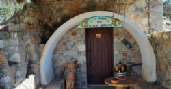 Farm in Skourta, Dervenochoria