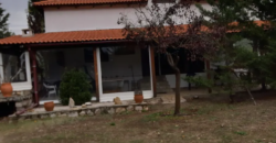 Farm in Skourta, Dervenochoria