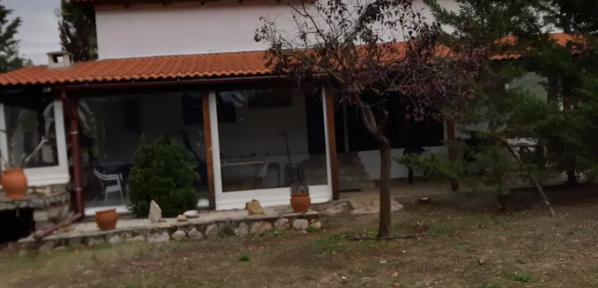 Farm in Skourta, Dervenochoria