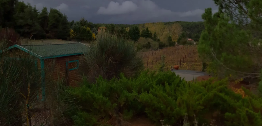 Farm in Skourta, Dervenochoria