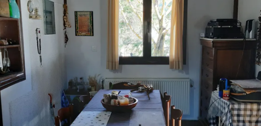 Farm in Skourta, Dervenochoria