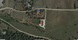 Farm in Skourta, Dervenochoria