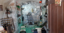 Farm in Skourta, Dervenochoria