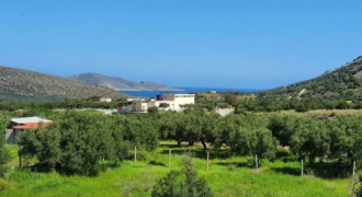 Maisonette in Kavousi, Ierapetra (Lasithi)