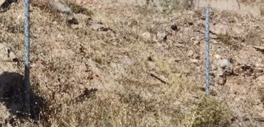 Land in Drafi, Pikermi (Rest of Attica)