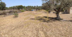 Detached house in Rountzeri Lembro, Keratea (Rest of Attica)
