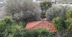 Detached house in Kitsi, Koropi (Athens – Eastern Suburbs)