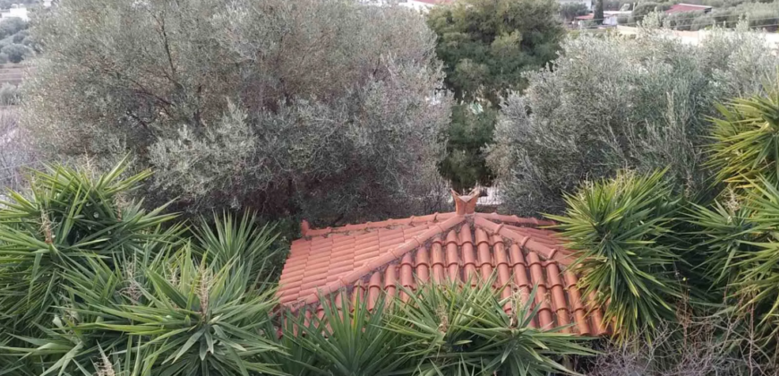Detached house in Kitsi, Koropi (Athens – Eastern Suburbs)