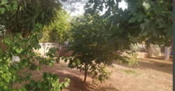 Detached house in Kitsi, Koropi (Athens – Eastern Suburbs)