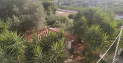 Detached house in Kitsi, Koropi (Athens – Eastern Suburbs)