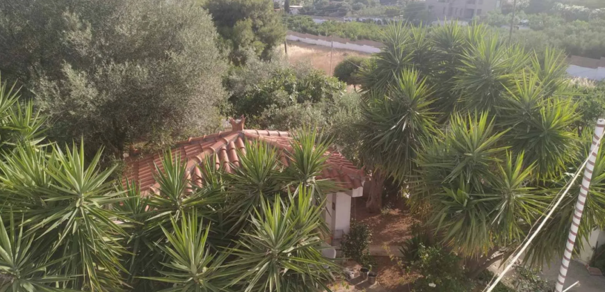 Detached house in Kitsi, Koropi (Athens – Eastern Suburbs)