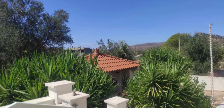 Detached house in Kitsi, Koropi (Athens – Eastern Suburbs)