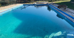 Villa in Ancient Corinth, Corinth (Corinthia)