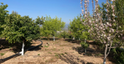 Villa in Ancient Corinth, Corinth (Corinthia)