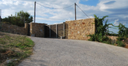 Villa in Agia Paraskevi, Varnavas (Athens – Eastern Suburbs)
