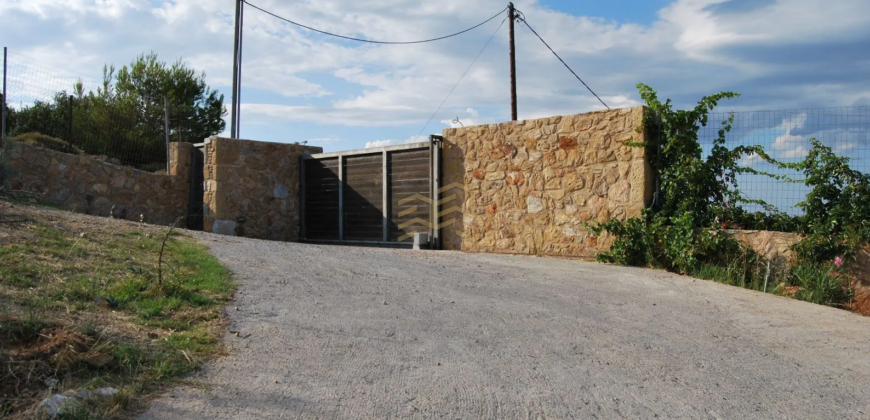 Villa in Agia Paraskevi, Varnavas (Athens – Eastern Suburbs)