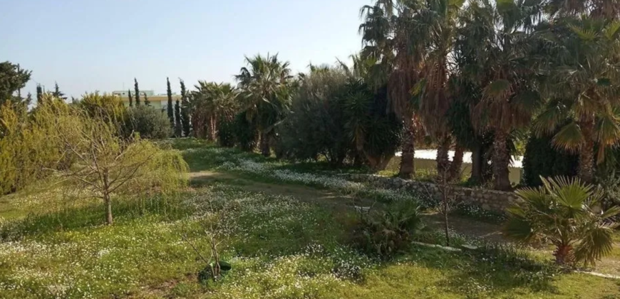 Apartment complex in Antimachia, Kos (Dodecanese)