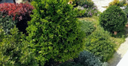 Maisonette in Fasideri, Anixi (Athens – Northern Suburbs)