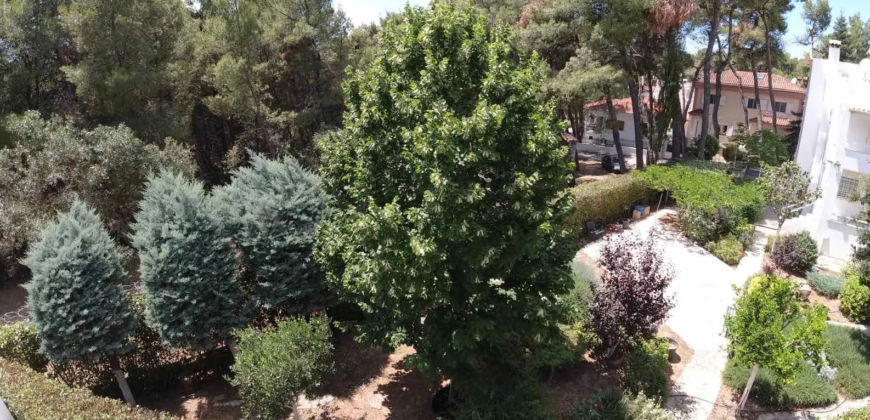 Maisonette in Fasideri, Anixi (Athens – Northern Suburbs)